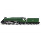 BR (Ex LNER) W1 Class (Rebuilt) 4-6-4, 60700, BR Lined Green (Late Crest) Livery, DCC Ready