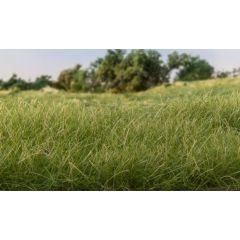 Woodland Scenics , WFS614 Static Grass, 2mm, Medium Green small image