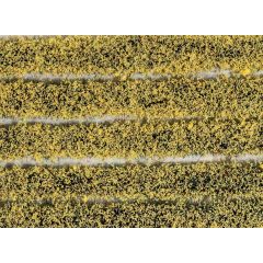 Peco , PSG-21 Grass Tuft Strips, Self Adhesive, 4mm, Daffodils small image