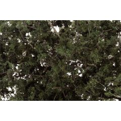 Woodland Scenics , WF1130 Fine Leaf-Foliage, Dark Green small image