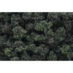 Woodland Scenics , WFC149 Bushes, Forest Blend small image