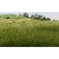 Woodland Scenics , WFS613 Static Grass, 2mm, Dark Green small image