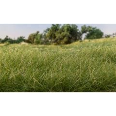 Woodland Scenics , WFS614 Static Grass, 2mm, Medium Green small image