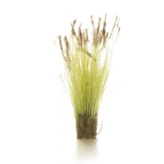 Woodland Scenics , WFS779 Long Grass/Prairie Grass, Brown Tipped small image
