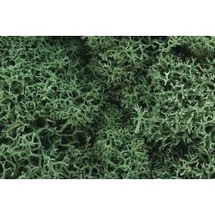 Woodland Scenics , WL162 Lichen, Light Green small image