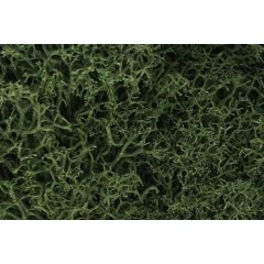 Woodland Scenics , WL163 Lichen, Medium Green small image