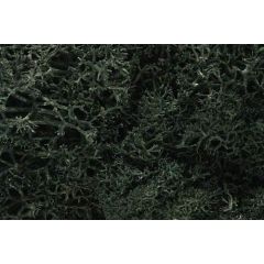 Woodland Scenics , WL164 Lichen, Dark Green small image