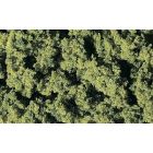 Clump-Foliage, Medium Green