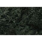 Lichen, Dark Green