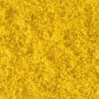 Coarse Turf, Autumn (Fall) Yellow