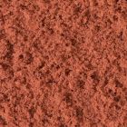 Coarse Turf, Autumn (Fall) Rust