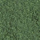 Coarse Turf, Dark Green