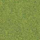 Blended Turf, Green Blend