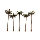 Palm Trees